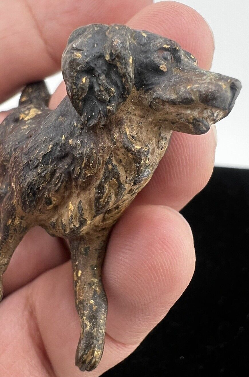 Antique Early 1900s Austrian Vienna Cold Painted Solid Bronze Black Labrador Dog5
