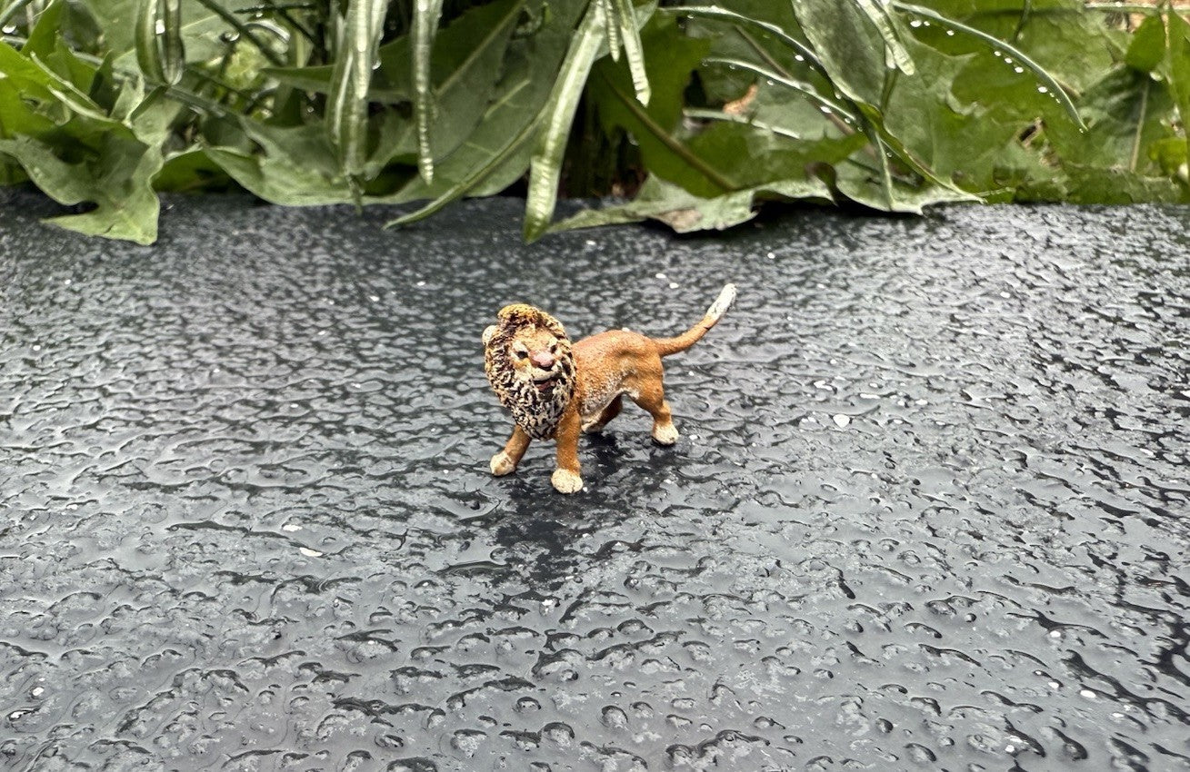 Amazing Miniature Antique Austrian Vienna Cold Painted Bronze Figure of Lion4