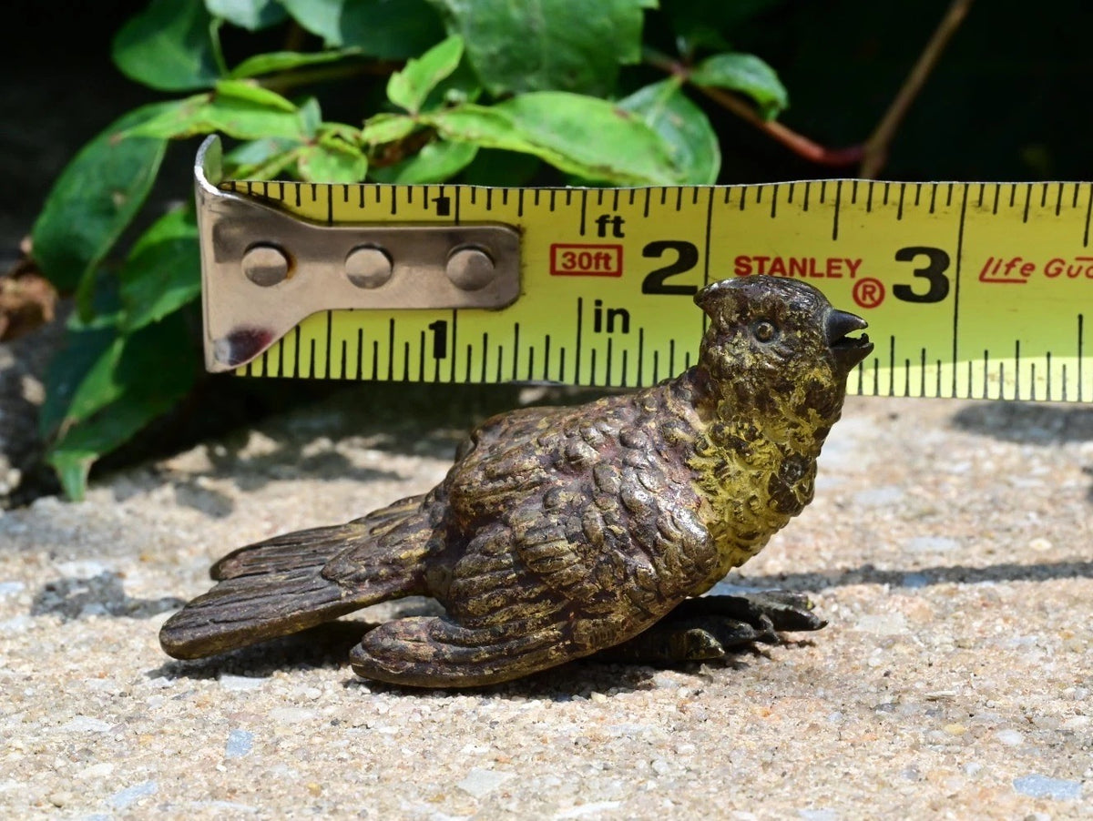 Antique 1900s Austrian Vienna Cold Painted Bronze Bird5