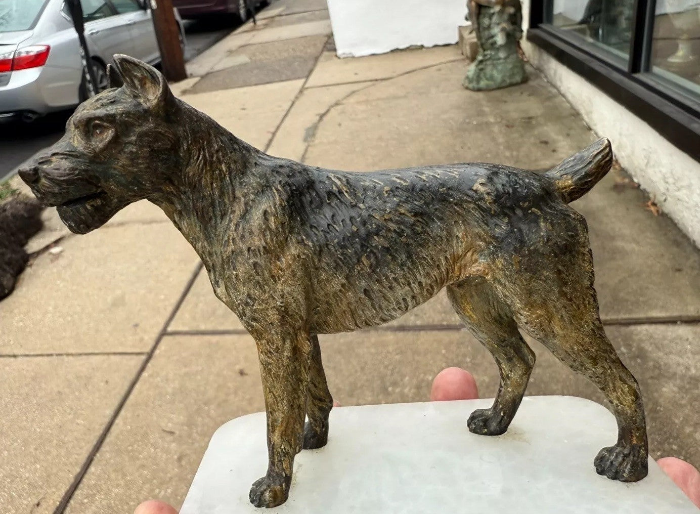 Super Detailed Antique Austrian Vienna Cold Painted Bronze Figure of Terrier Dog9