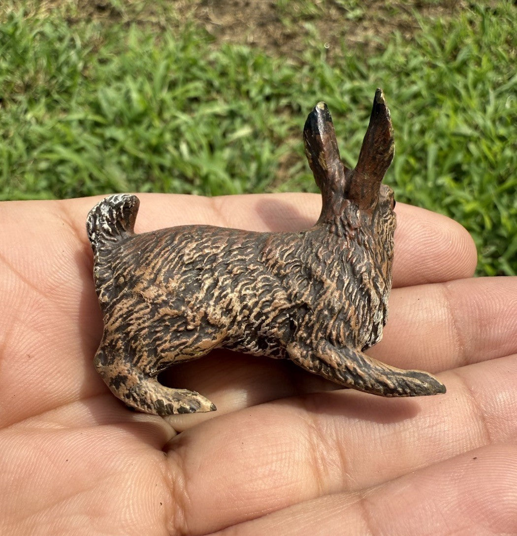Life Like Antique Austrian Vienna Cold Painted Bronze of Brown Rabbit5