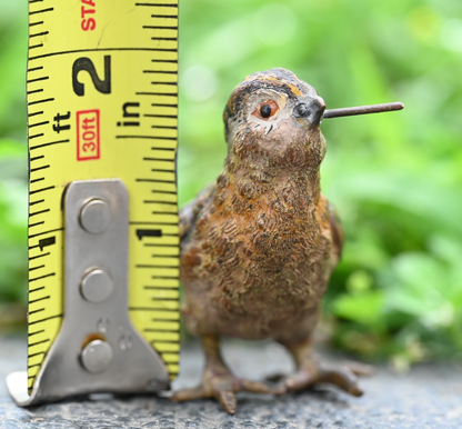Antique 1900s Austrian Vienna Cold Painted Bronze Figure of Chick with Stem6