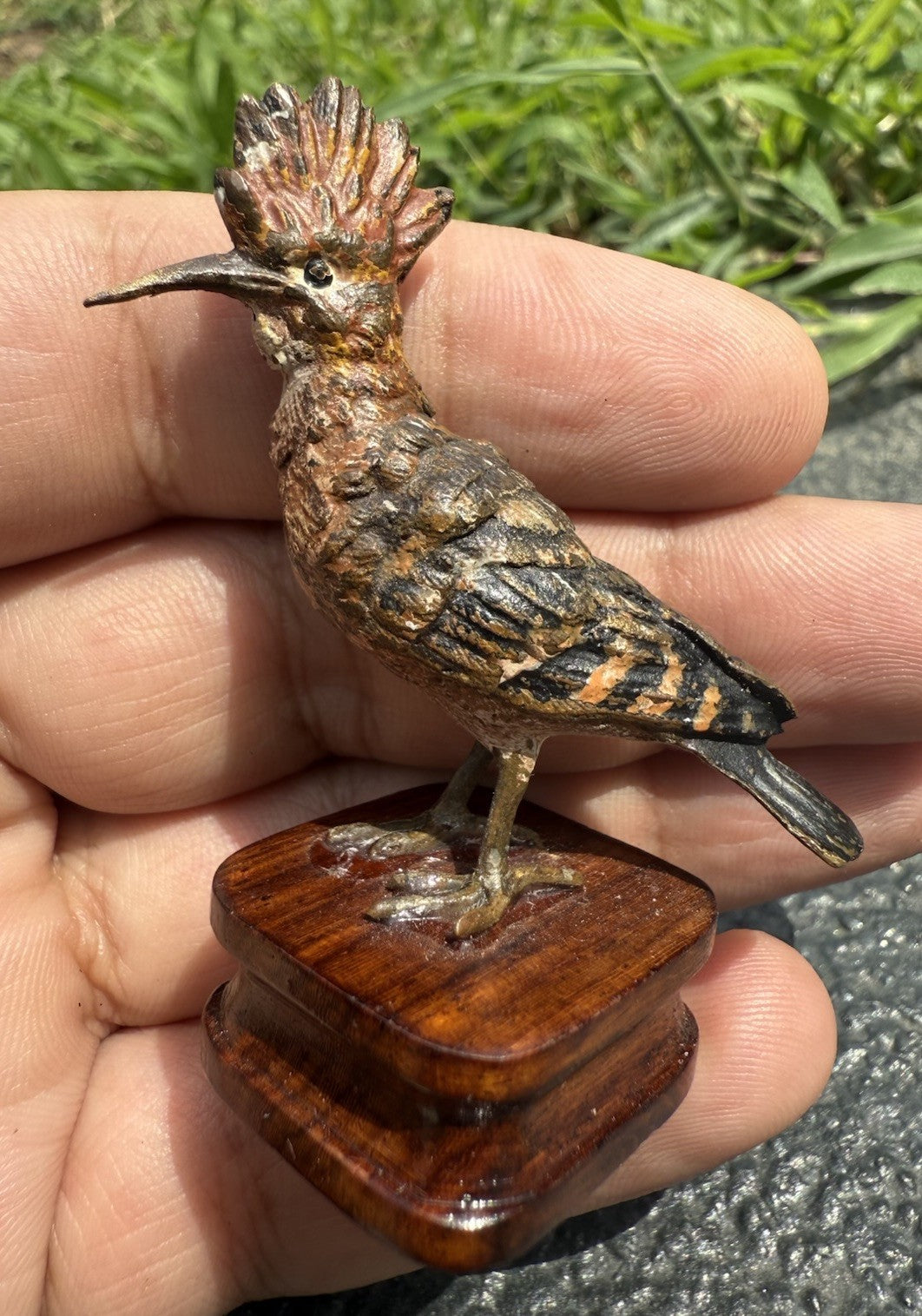 Rare Antique Austrian Vienna Cold Painted Bronze of Hoopoe Bird8