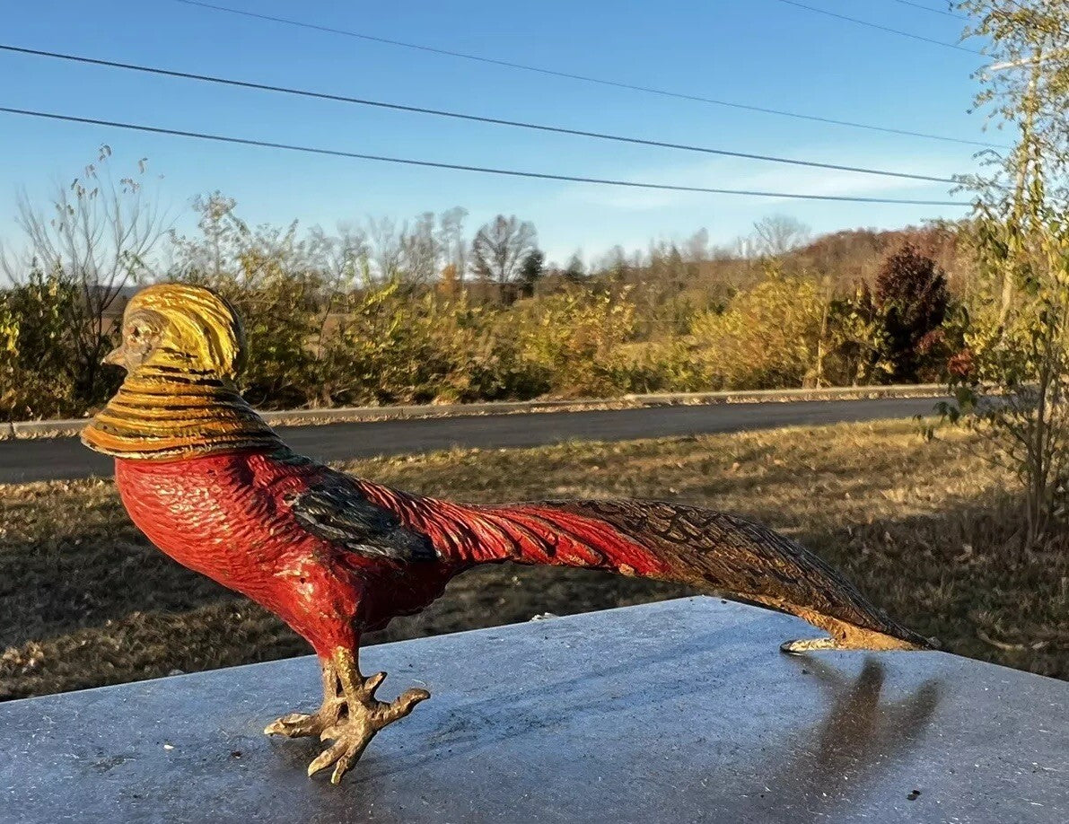 Antique Austrian Vienna Cold Painted Bronze Figure of Golden Pheasant Bird5