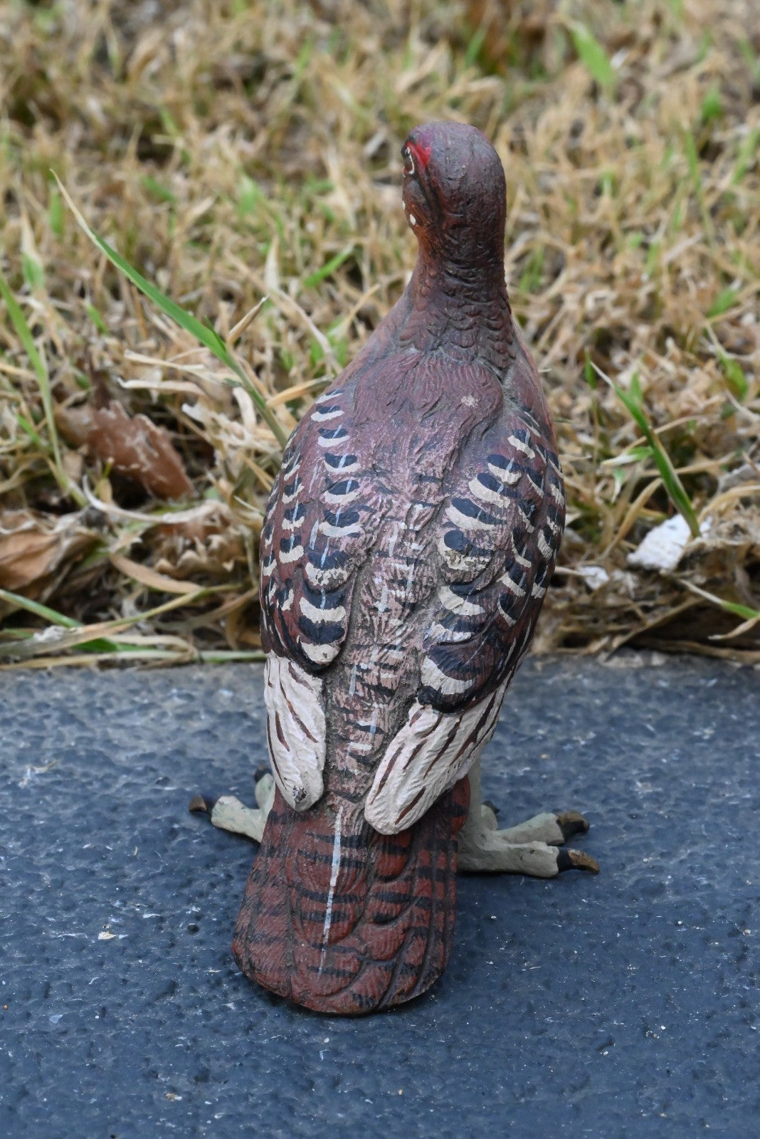 Beautiful Austrian Vienna Cold Painted Bronze Figure of  Partridge Game Bird5