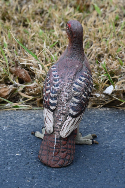 Beautiful Austrian Vienna Cold Painted Bronze Figure of  Partridge Game Bird5