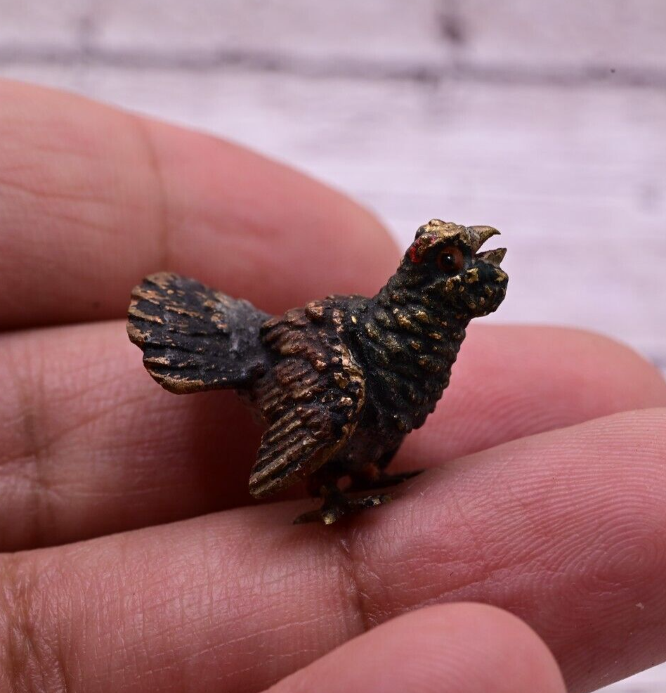 Well Detailed Antique Austrian Vienna Cold Painted Bronze Figure of Turkey5