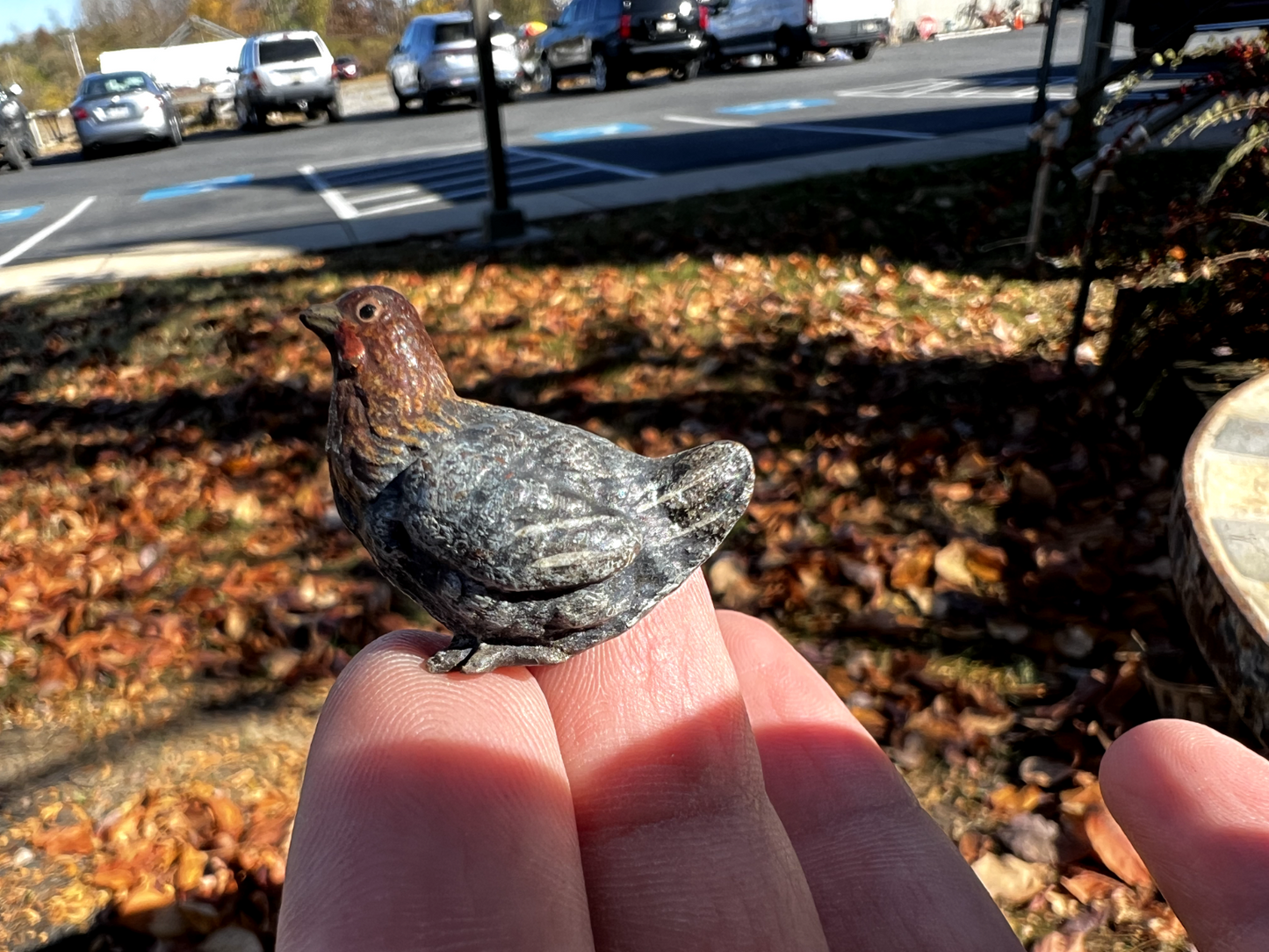 Beautiful Antique Austrian Vienna Cold Painted Bronze Figure of Small Farm Hen0