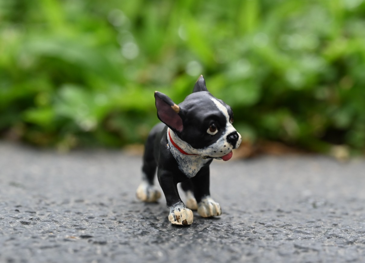 Fritz Bermann Austrian Vienna Cold Painted Bronze Figure of Boston Terrier Puppy4