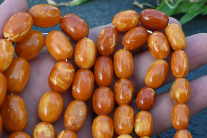 Genuine Marbled Natural Baltic Butterscotch Amber Beaded Necklace3