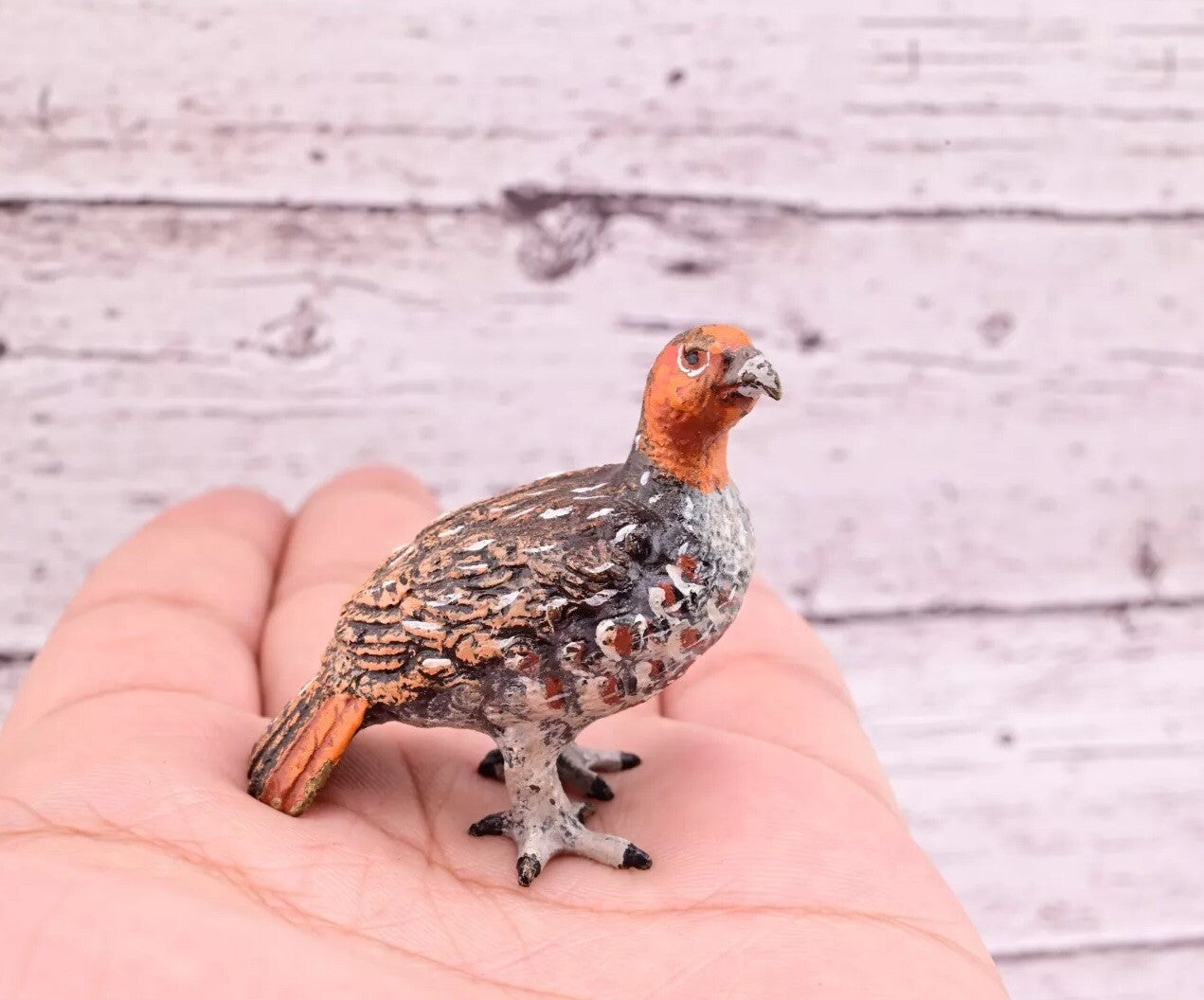 Antique Austrian Vienna Cold Painted Bronze Figure of Partridge Game Bird8