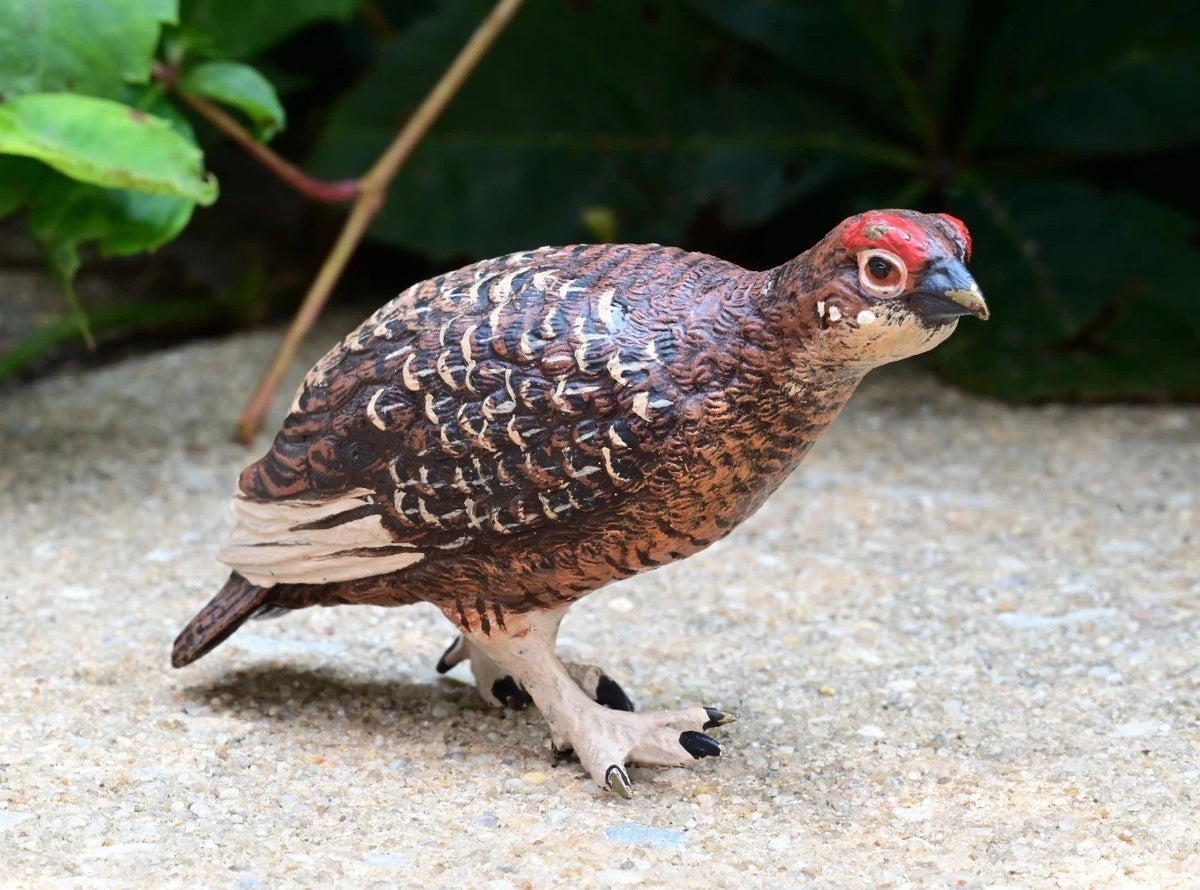 Austrian Vienna Cold Painted Bronze Injured Game Bird0
