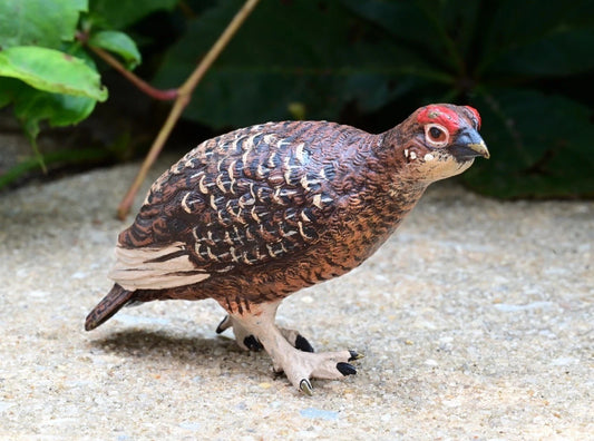 Austrian Vienna Cold Painted Bronze Injured Game Bird0