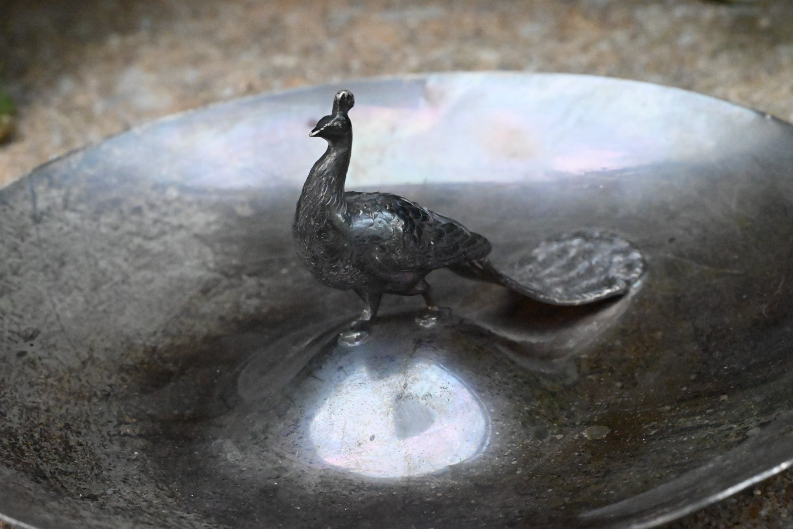 Super Beautiful Antique Early 20th Century Sterling Silver Peacock Candy Dish4