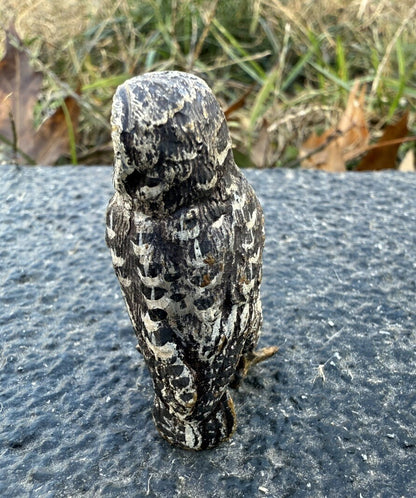 Amazing Antique Austrian Vienna Cold Painted Bronze Figure of Owl6