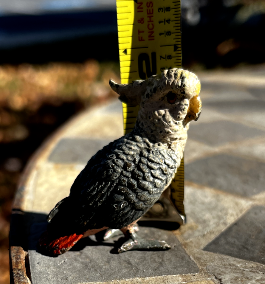 Original Antique Austrian Vienna Cold Painted Bronze Figure of Cockatoo4