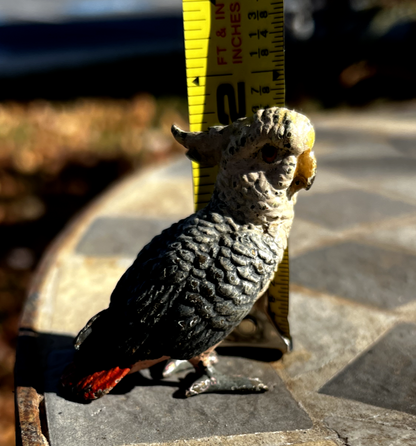 Original Antique Austrian Vienna Cold Painted Bronze Figure of Cockatoo4