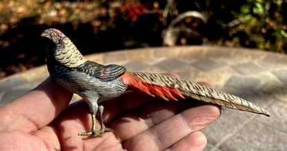 Antique Austrian Vienna Cold Painted Bronze Figure of Amherst Pheasant7