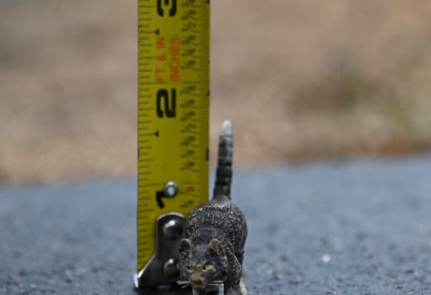 Small Antique Cold Painted Austrian Vienna Solid Bronze Cat8