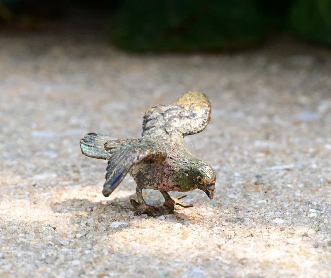 Austrian Vienna Cold Painted Bronze Pigeon4
