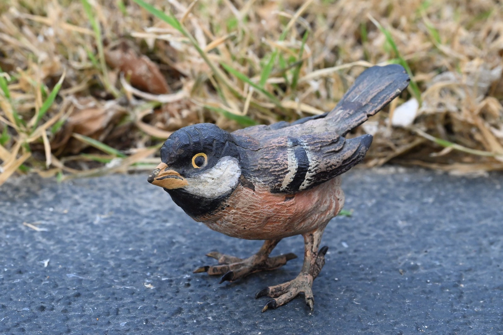 Life - Like Austrian Vienna Cold Painted Bronze Bird Figure of a Cape Sparrow0