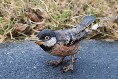 Life - Like Austrian Vienna Cold Painted Bronze Bird Figure of a Cape Sparrow0