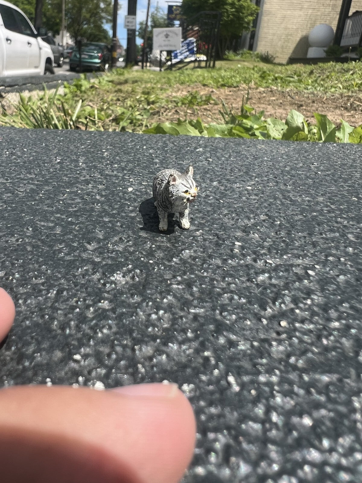 Adorable Small Austrian Vienna Cold Painted Bronze Figure of a Seated Cat4