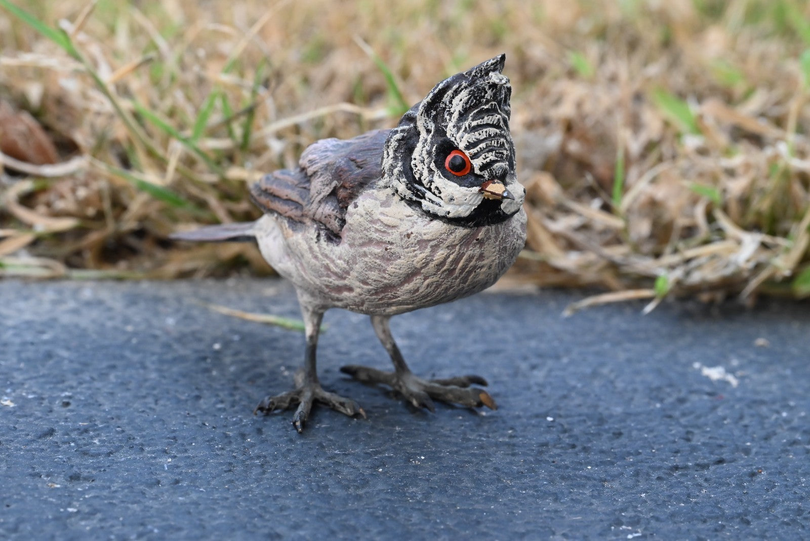 Gorgeous Austrian Vienna Cold Painted Bronze Figure of Black-crested Titmouse0