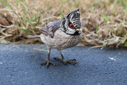 Gorgeous Austrian Vienna Cold Painted Bronze Figure of Black-crested Titmouse0