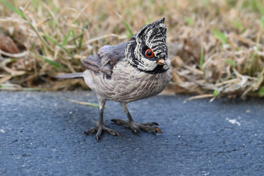 Gorgeous Austrian Vienna Cold Painted Bronze Figure of Black-crested Titmouse0