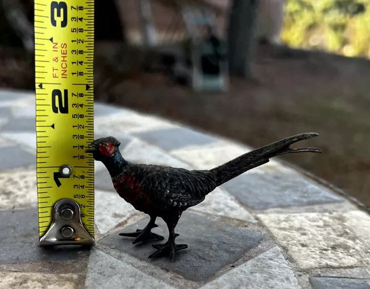 Antique Austrian Vienna Cold Painted Bronze Figure of Ring Neck Pheasant8
