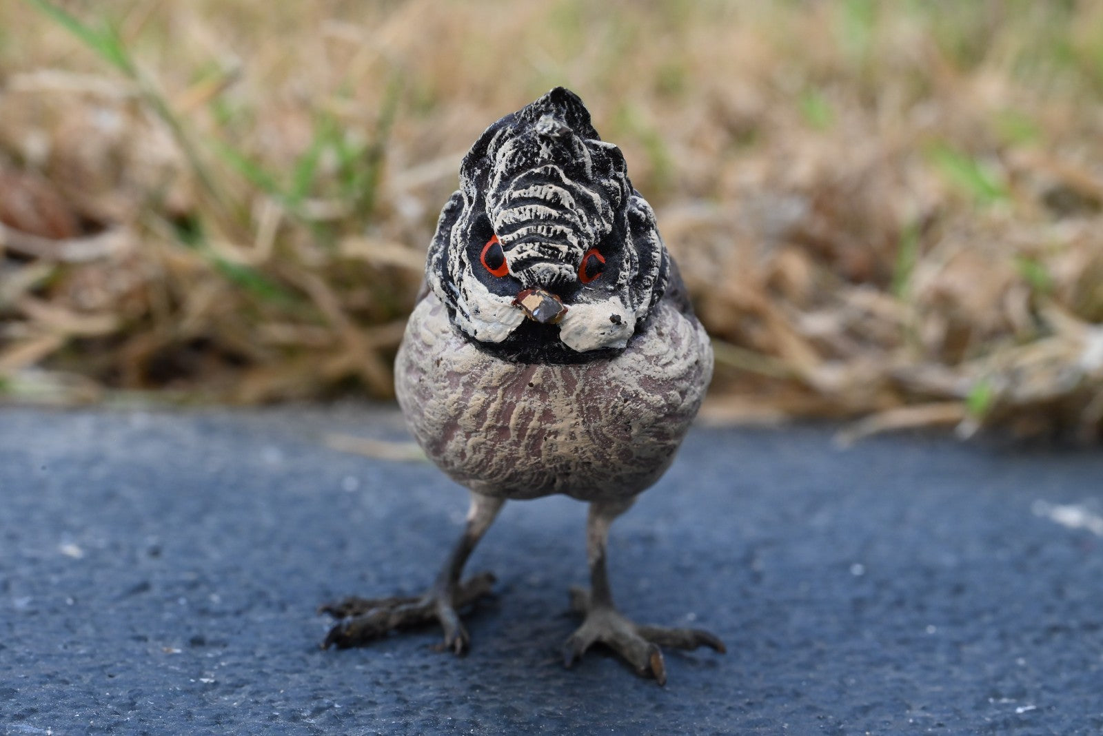 Gorgeous Austrian Vienna Cold Painted Bronze Figure of Black-crested Titmouse7