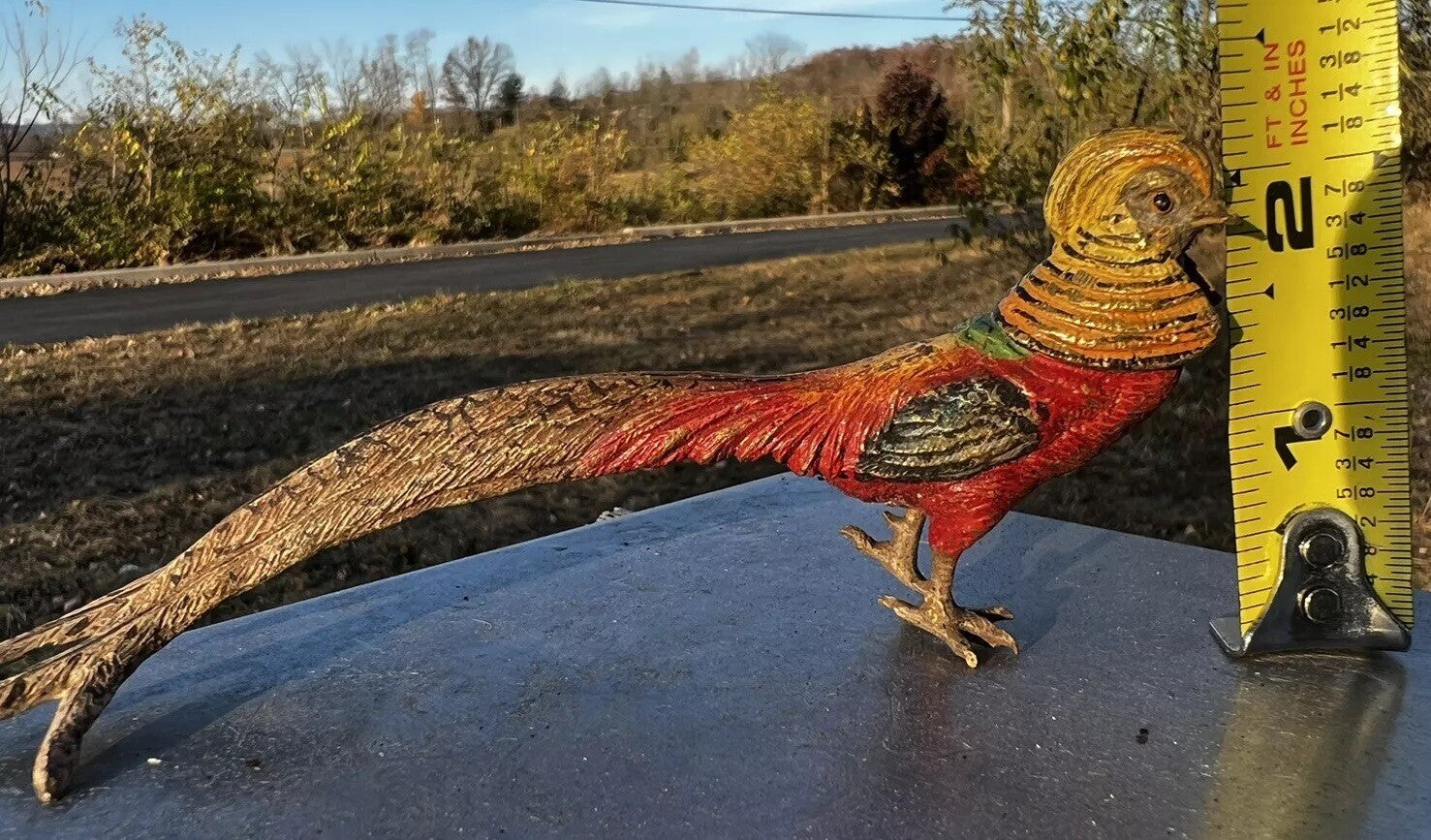 Antique Austrian Vienna Cold Painted Bronze Figure of Golden Pheasant Bird7