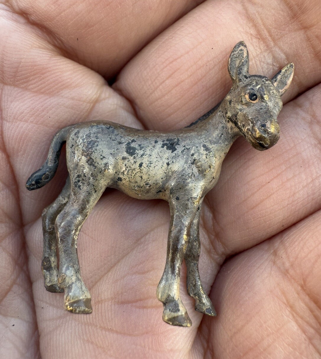 Cute Antique Austrian Vienna Cold Painted Bronze Figure of Young Donkey Foal0