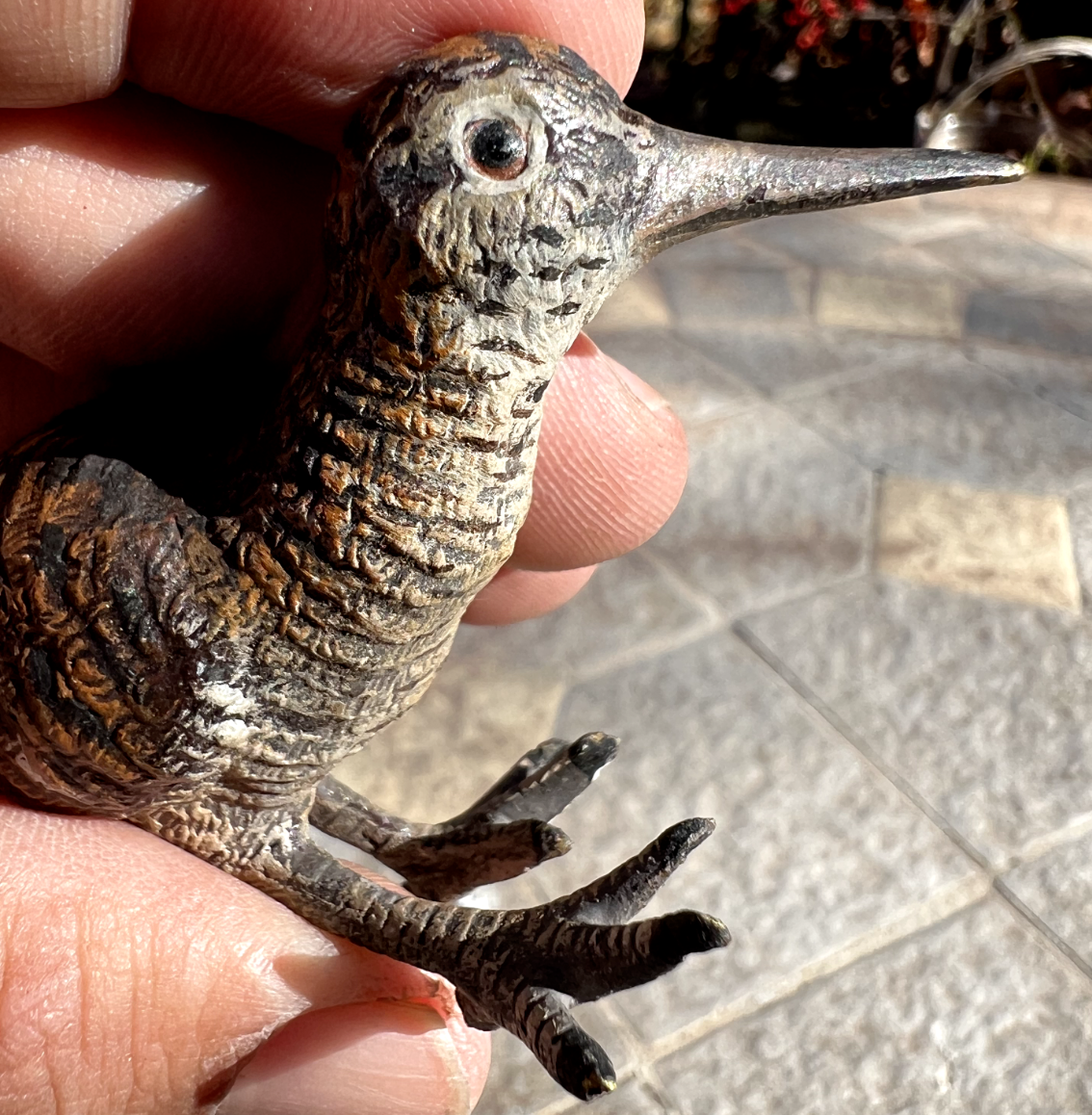 Antique Austrian Vienna Cold Painted Bronze Figure of Eurasian Woodcock7