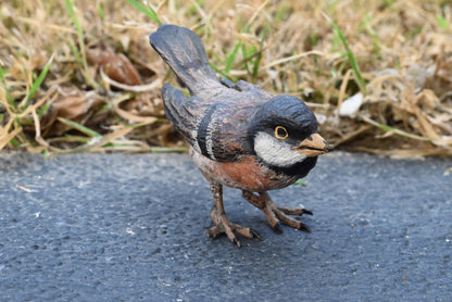Life - Like Austrian Vienna Cold Painted Bronze Bird Figure of a Cape Sparrow4