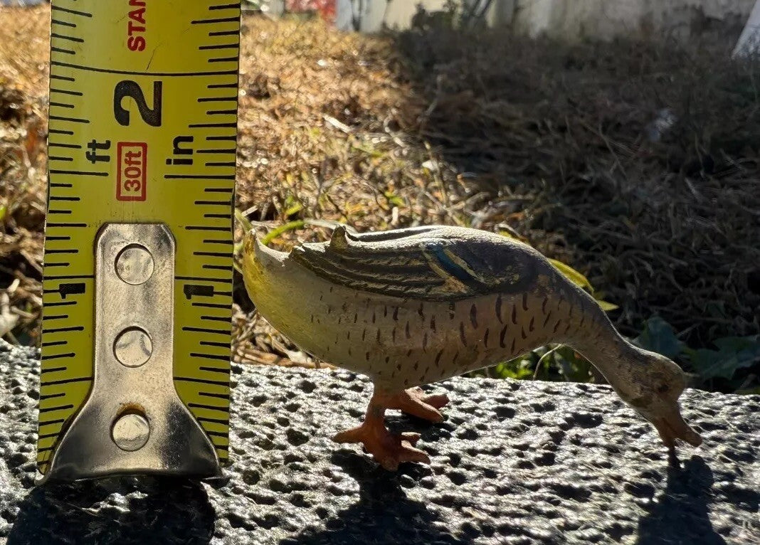 Lovely Small Antique Austrian Vienna Cold Painted Bronze Figure of Duck0