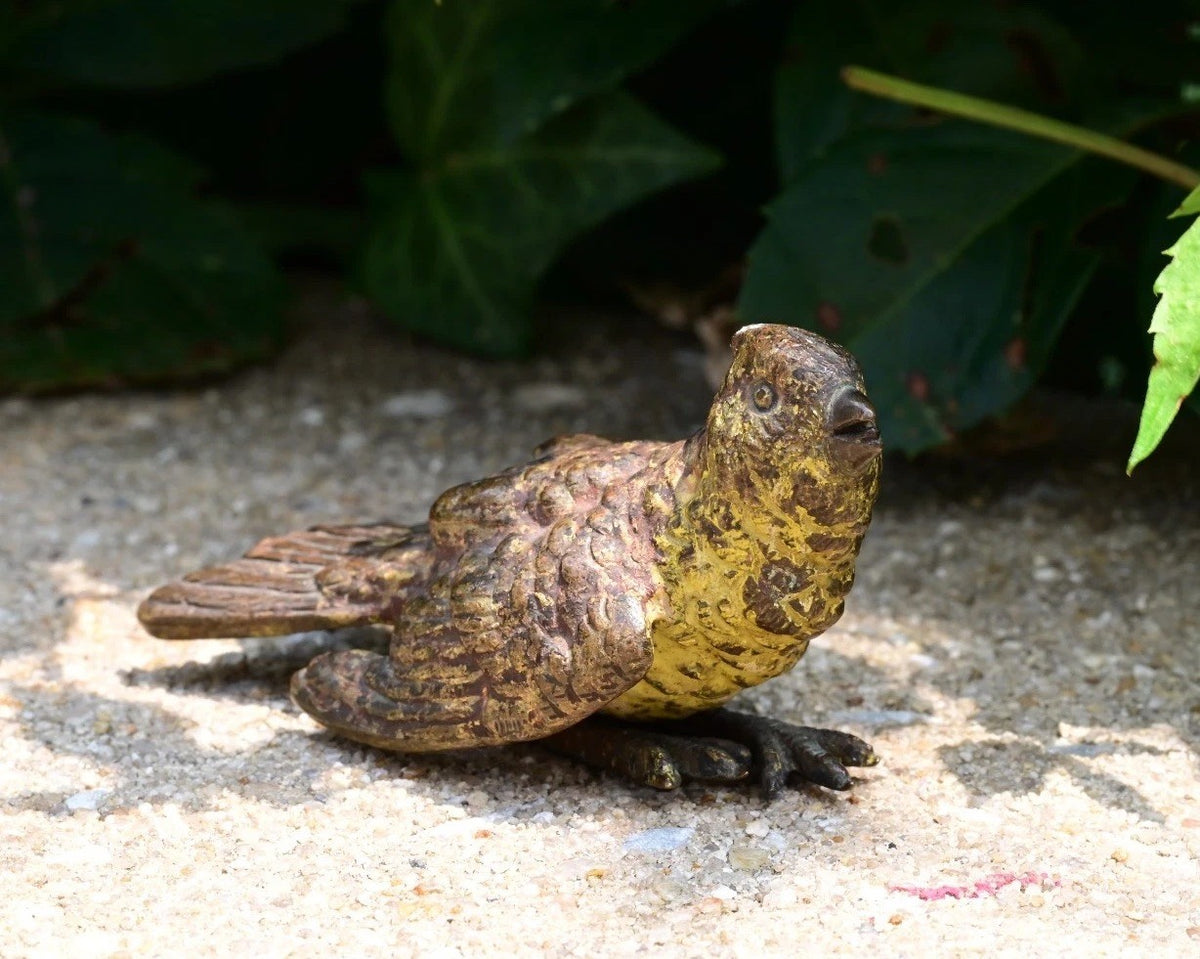 Antique 1900s Austrian Vienna Cold Painted Bronze Bird0