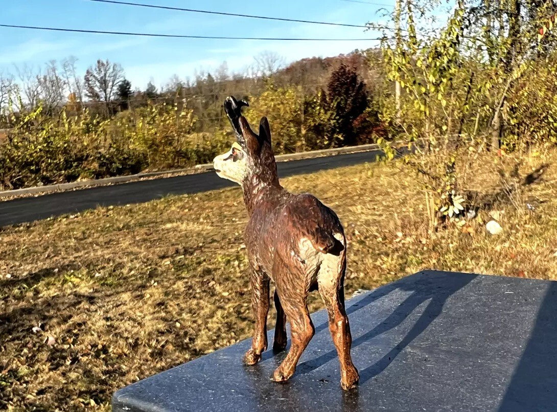 Stunning Antique Austrian Vienna Cold Painted Bronze Figure of Goat3