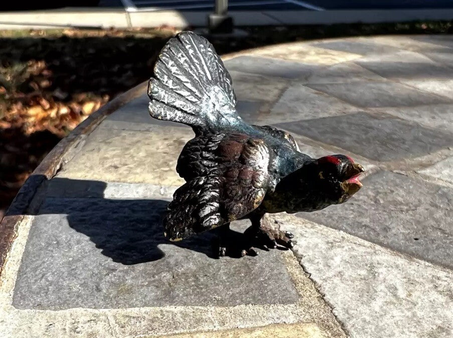 Unique Antique Austrian Vienna Cold Painted Bronze Figure of Capercaillie10
