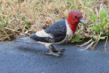 Life - Like Austrian Vienna Cold Painted Bronze Figure of Red Headed Woodpecker0