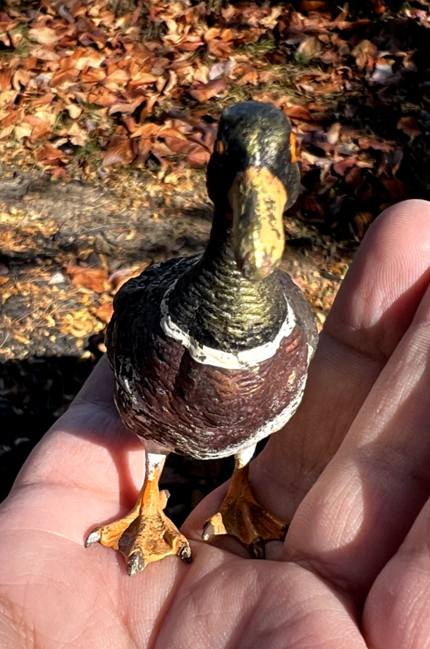 Amazing Antique Austrian Vienna Cold Painted Bronze Figure of Mallard Duck2
