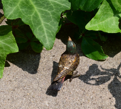 Super Cute Miniature Austrian Vienna Cold Painted Bronze Bird Figure of Robin7