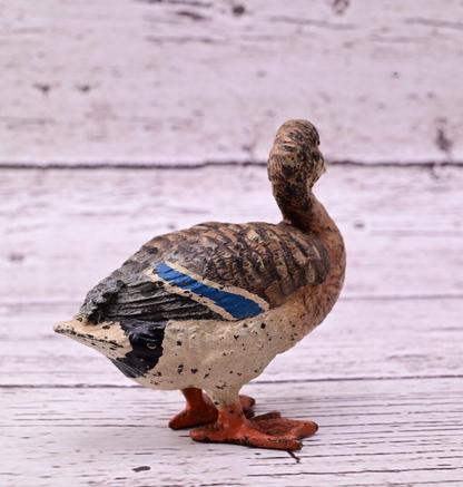 Gorgeous Antique Austrian Vienna Cold Painted Bronze Figure of Mallard Duck2