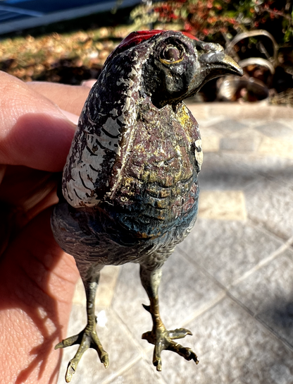 Antique Austrian Vienna Cold Painted Bronze Figure of Amherst Pheasant5