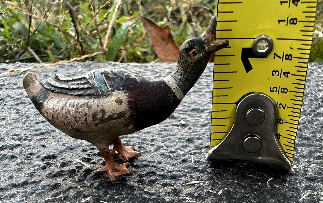 Cute Antique Austrian Vienna Cold Painted Bronze Figure of Small Mallard Duck5