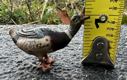 Cute Antique Austrian Vienna Cold Painted Bronze Figure of Small Mallard Duck5