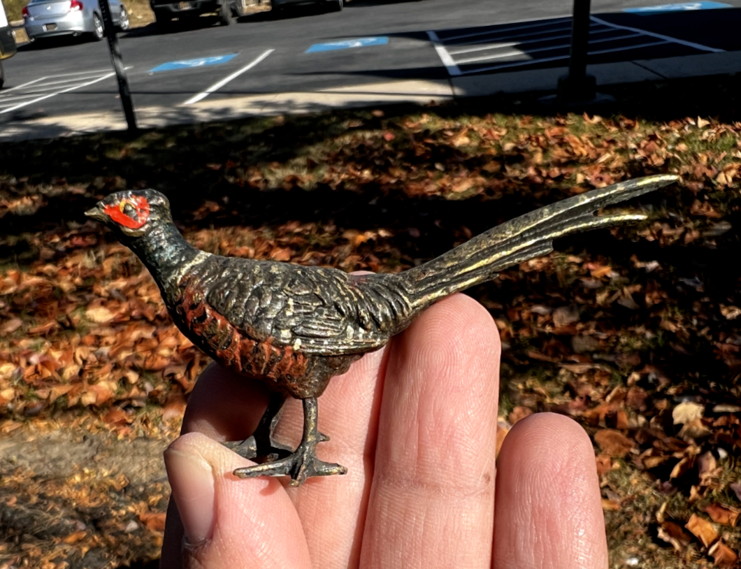 Small Antique Austrian Vienna Cold Painted Bronze Figure of Ring Neck Pheasant0