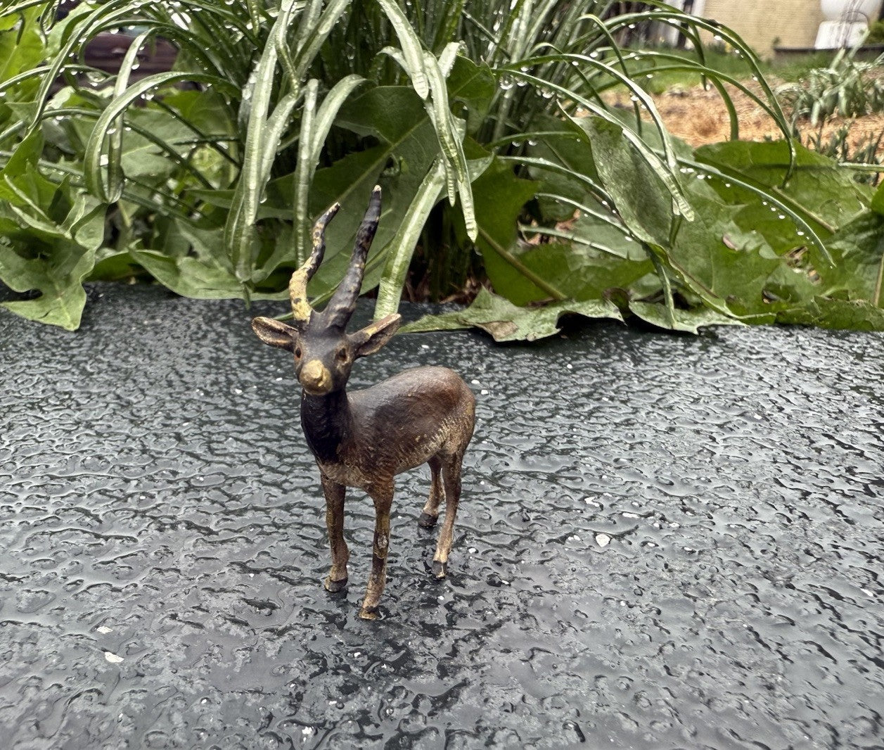Lovely Antique Austrian Vienna Cold Painted Bronze Figure of Antelope / Gazelle7