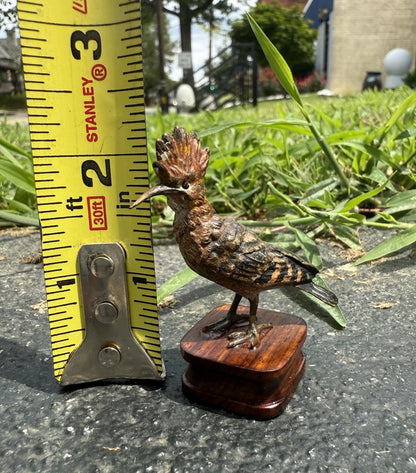 Rare Antique Austrian Vienna Cold Painted Bronze of Hoopoe Bird0